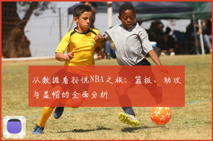 从数据看孙悦NBA之旅：篮板、助攻与盖帽的全面分析