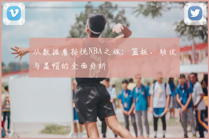 从数据看孙悦NBA之旅：篮板、助攻与盖帽的全面分析