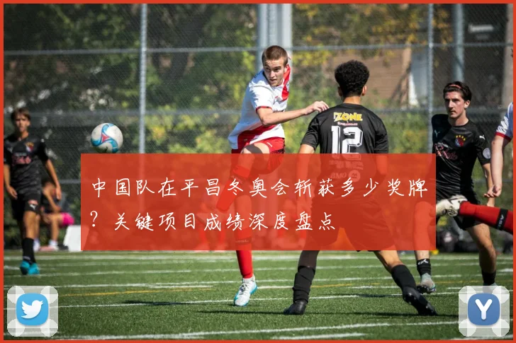 中国队在平昌冬奥会斩获多少奖牌？关键项目成绩深度盘点